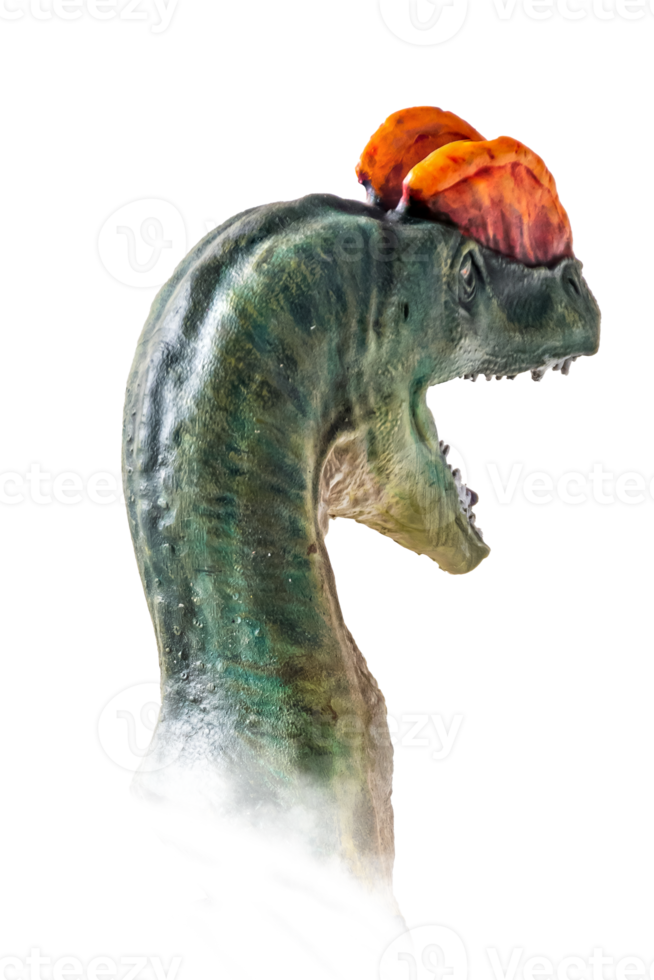 The head of  Dilophosaurus , dinosaur on  isolated background  . png