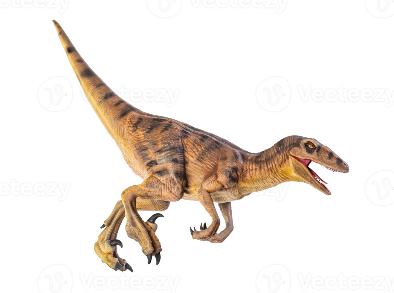 dinosaurus , velociraptor geïsoleerd achtergrond png