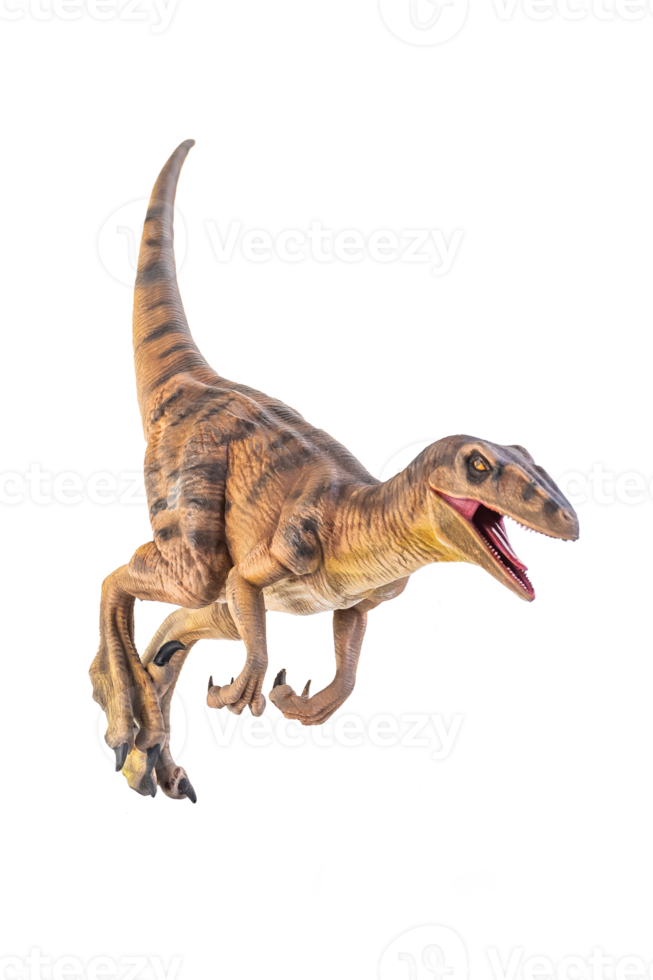 dinosaur , Velociraptor  isolated background png