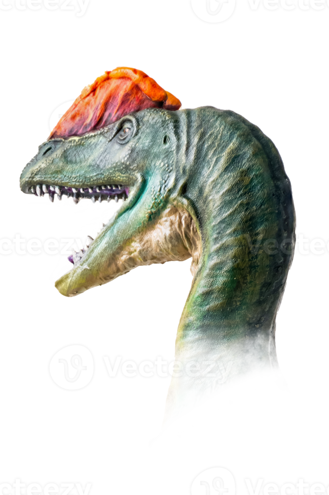 le tête de dilophosaure , dinosaure sur isolé Contexte . png