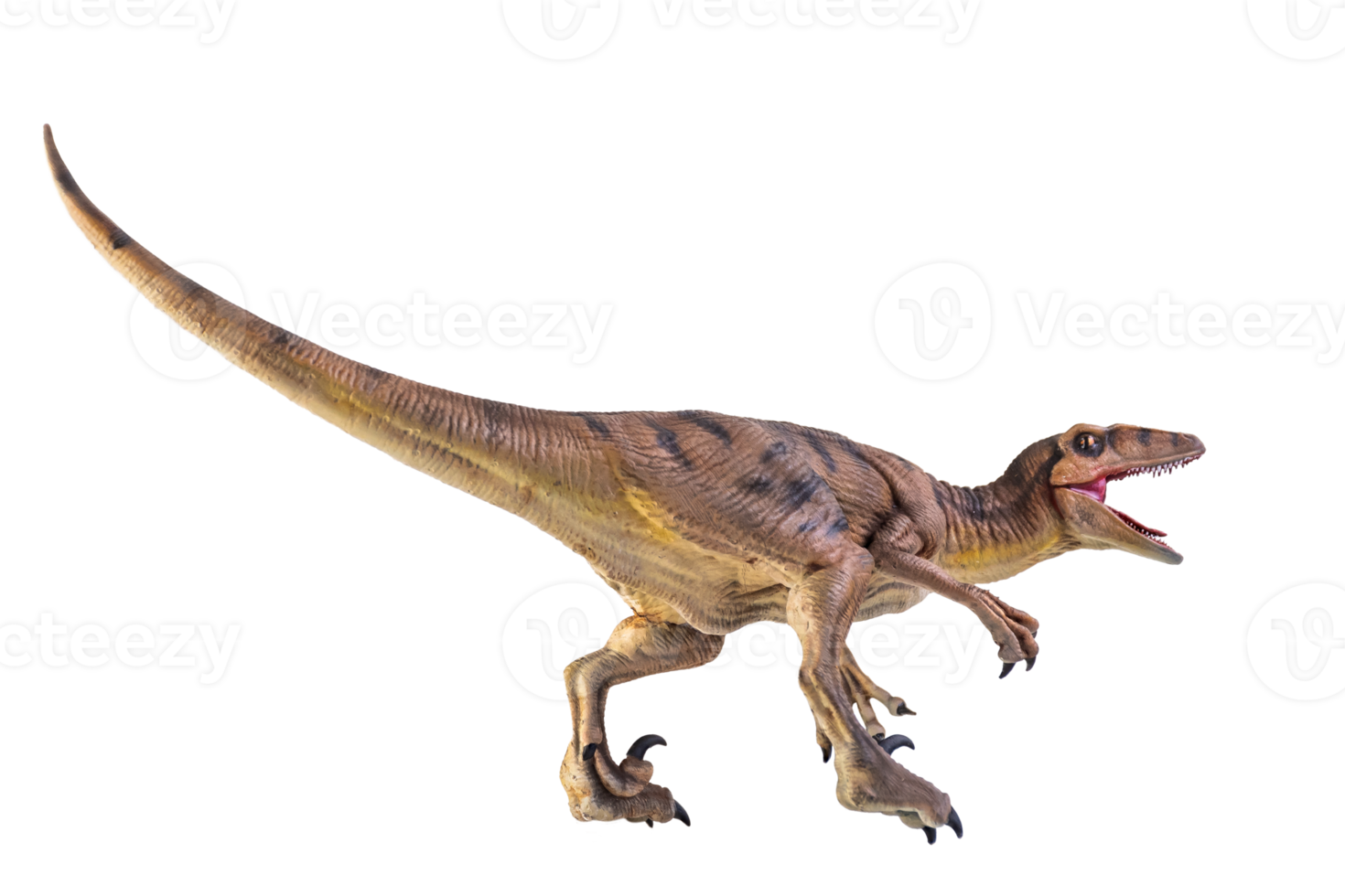 dinosaurie , velociraptor isolerat bakgrund png