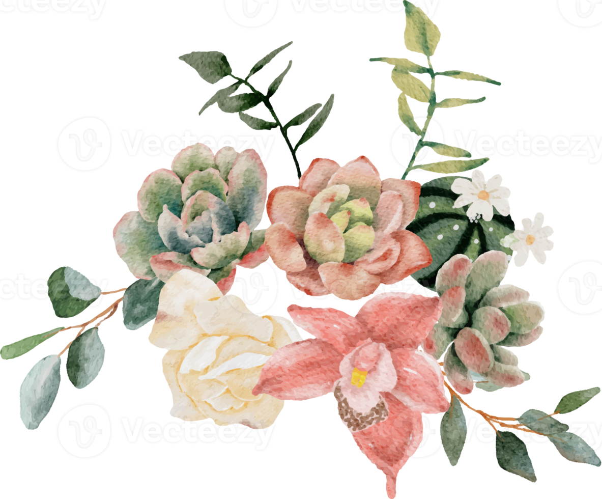 aquarelle succulent et fleur bouquet couronne Cadre png