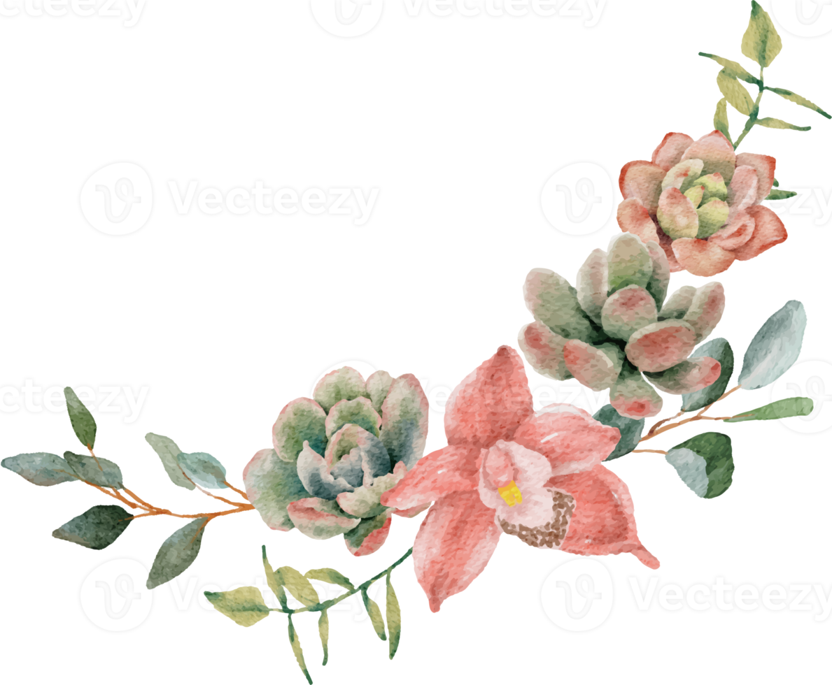 aquarelle succulent et fleur bouquet couronne Cadre png