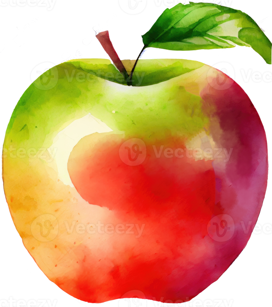 illustration aquarelle pomme rouge png