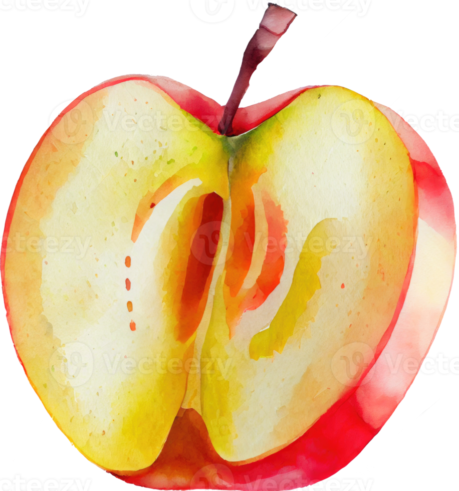 Sliced Red Apple Watercolor png