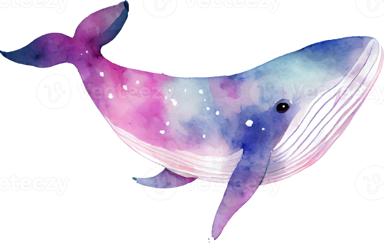 baleine aquarelle illustration png