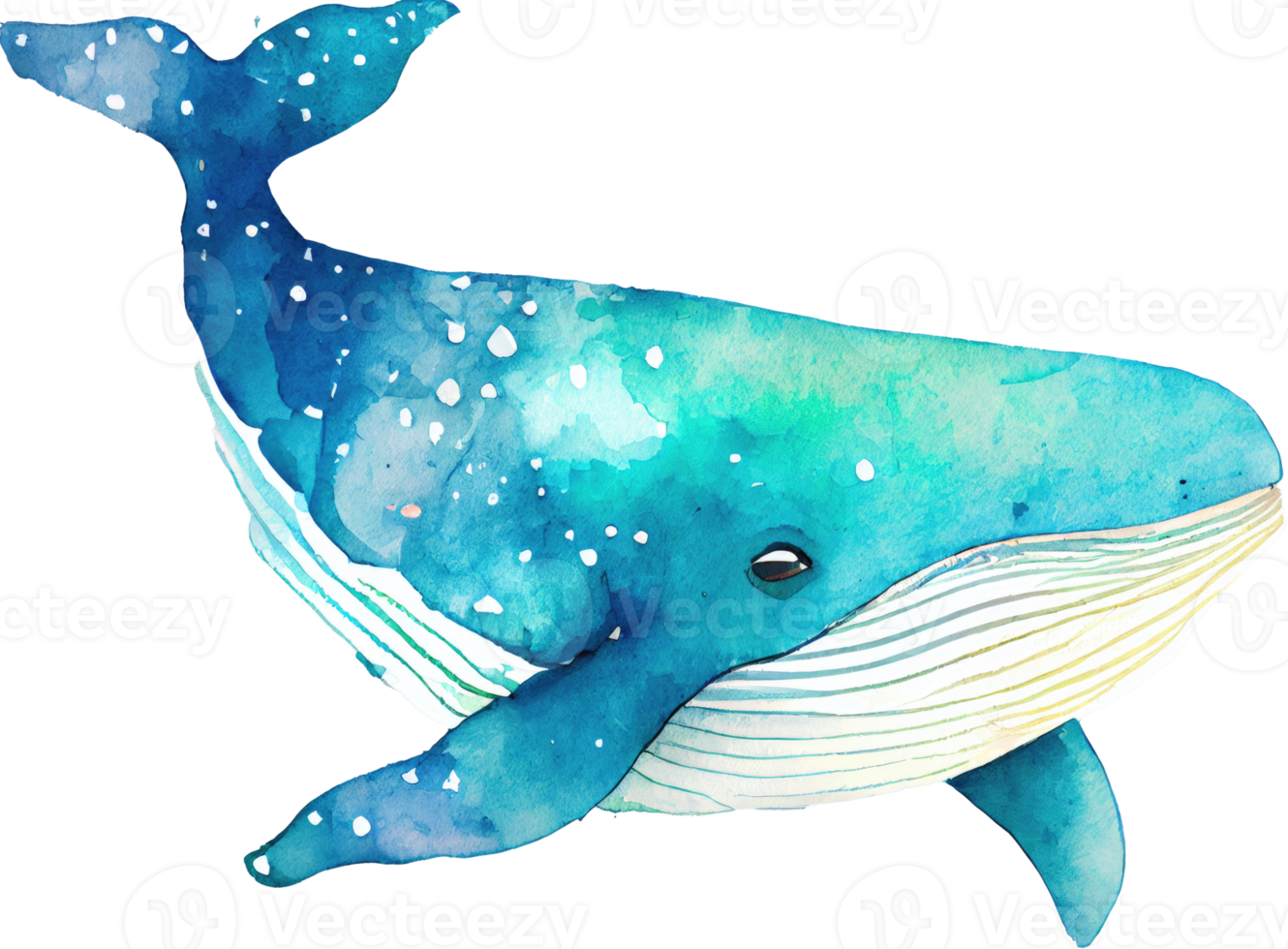 baleine aquarelle illustration png