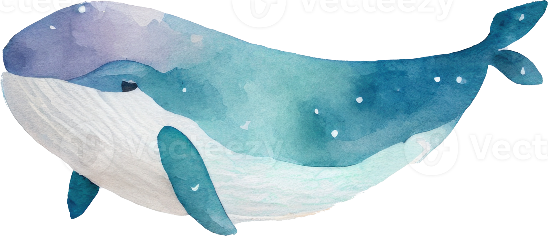 Whale Watercolor Illustration png