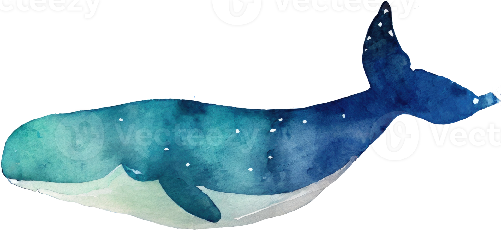 ballena acuarela ilustración png