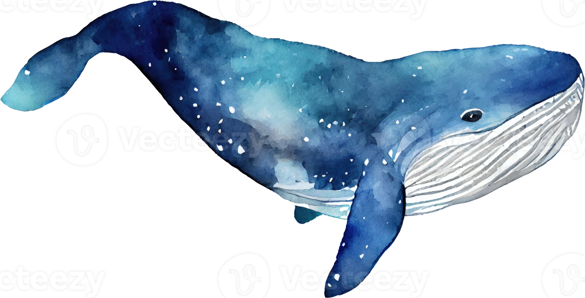 Whale Watercolor Illustration png