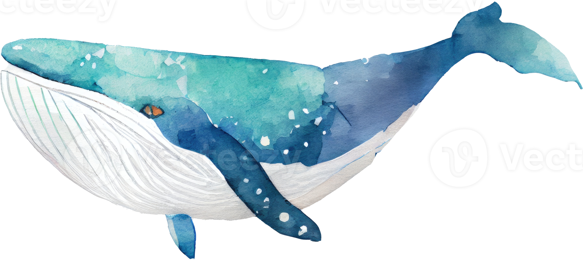 Whale Watercolor Illustration png