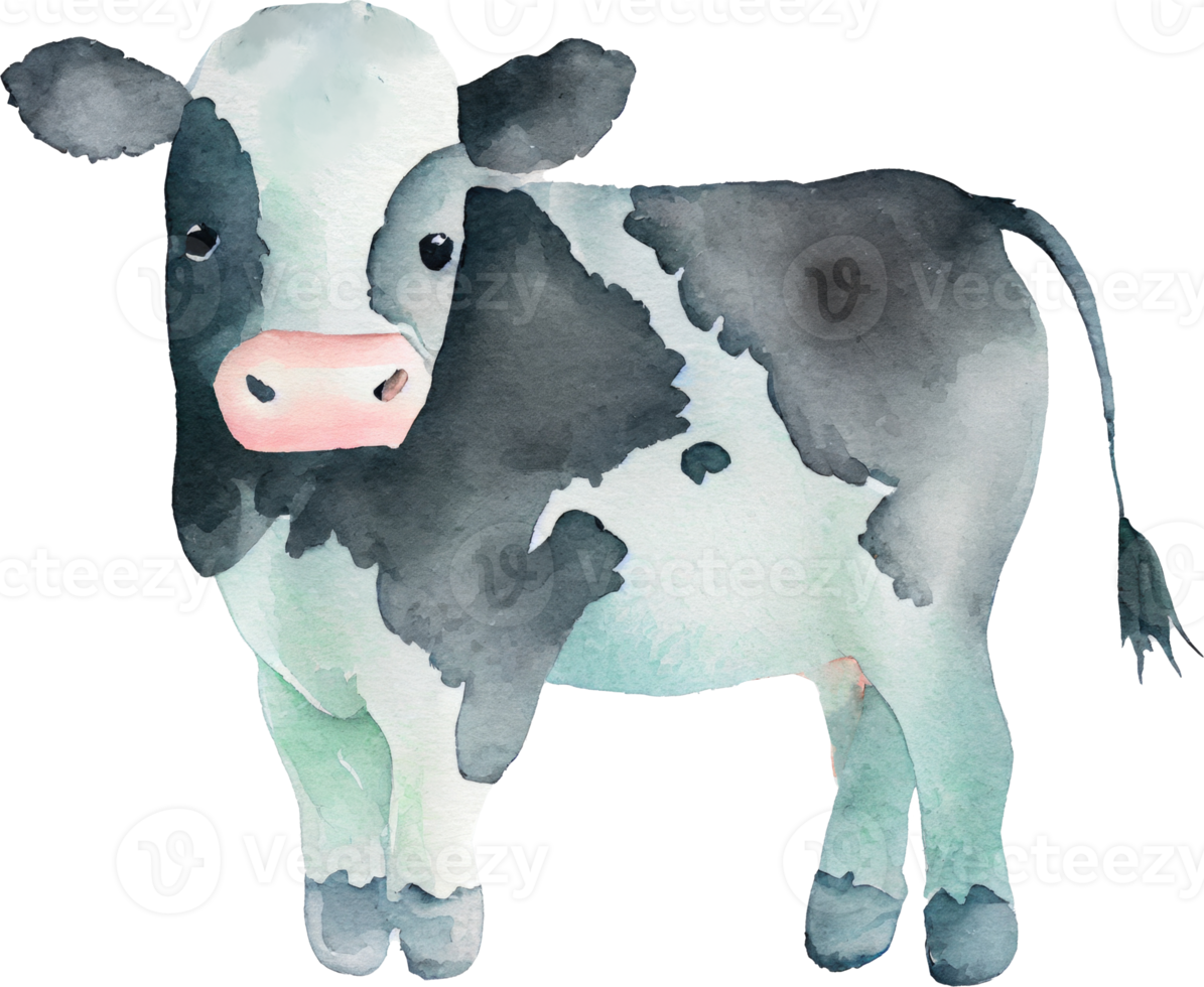 Cow Farm Animal Watercolor Illustration png