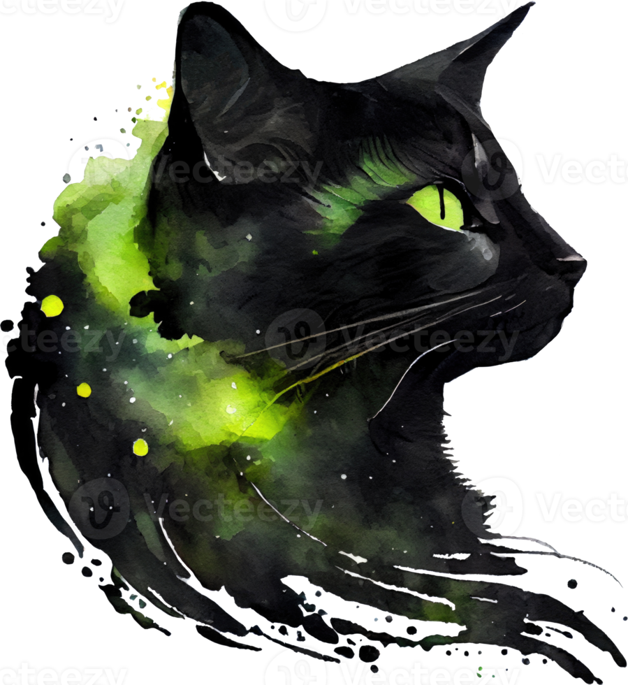 Celestial Black Cat Watercolor png