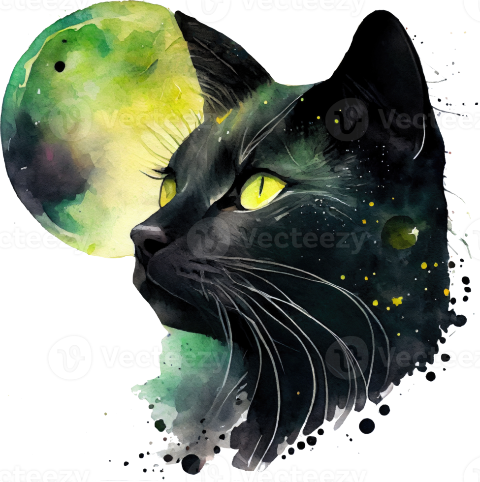 celeste nero gatto acquerello png