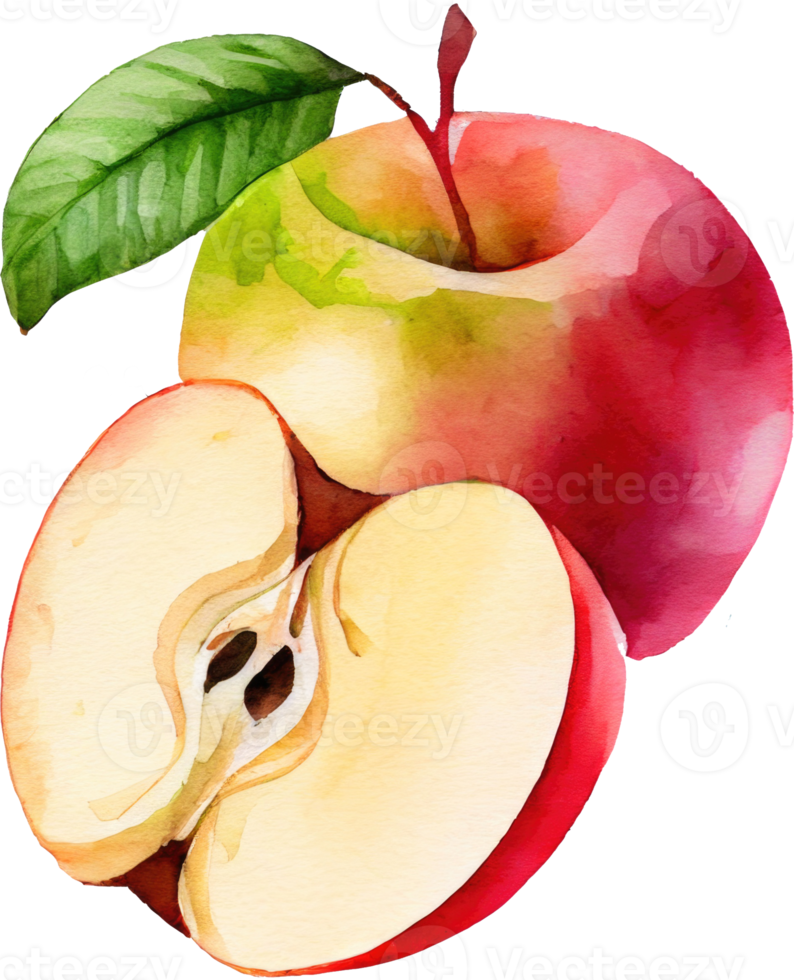 Sliced Red Apple Watercolor png