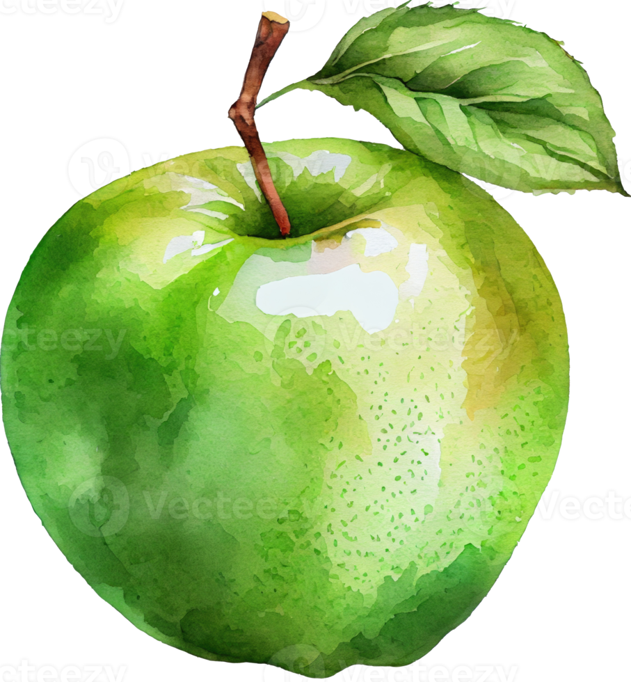 Green Apple Watercolor Illustration png