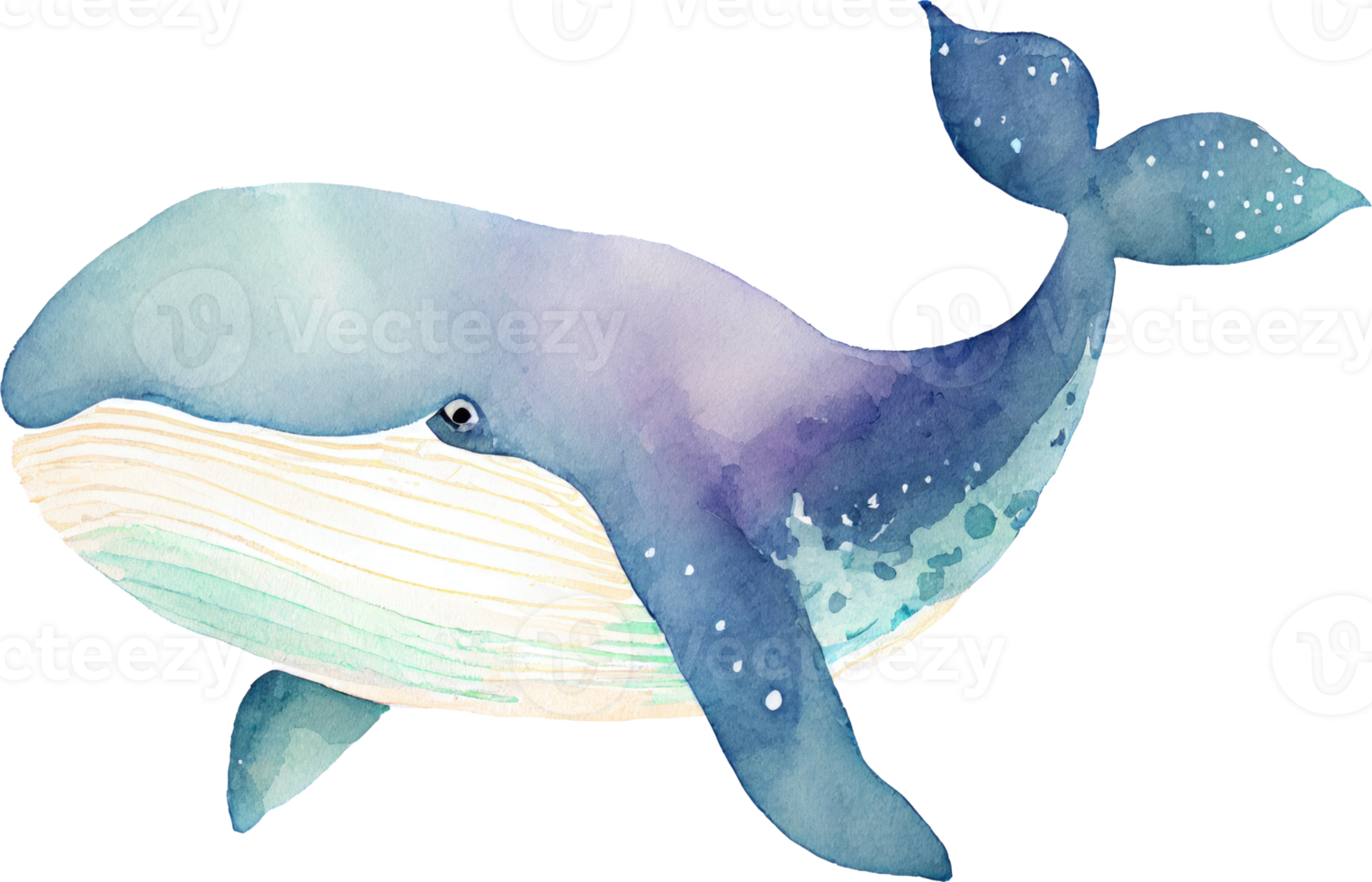 ballena acuarela ilustración png