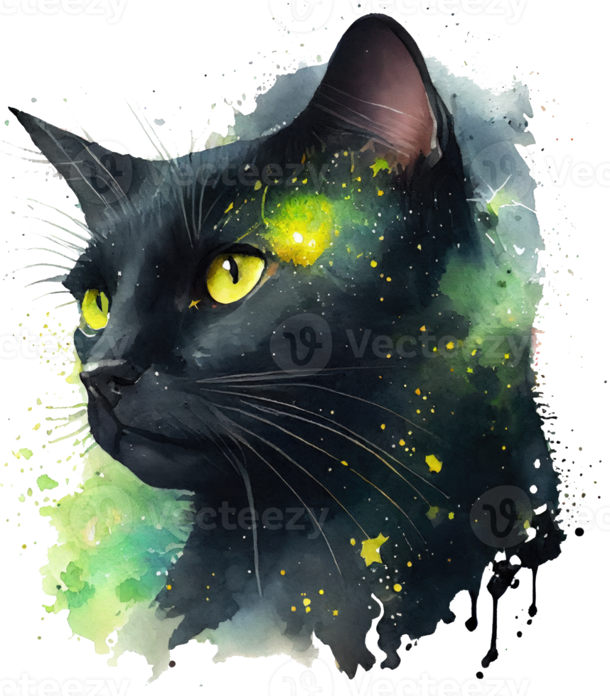 Celestial Black Cat Watercolor png