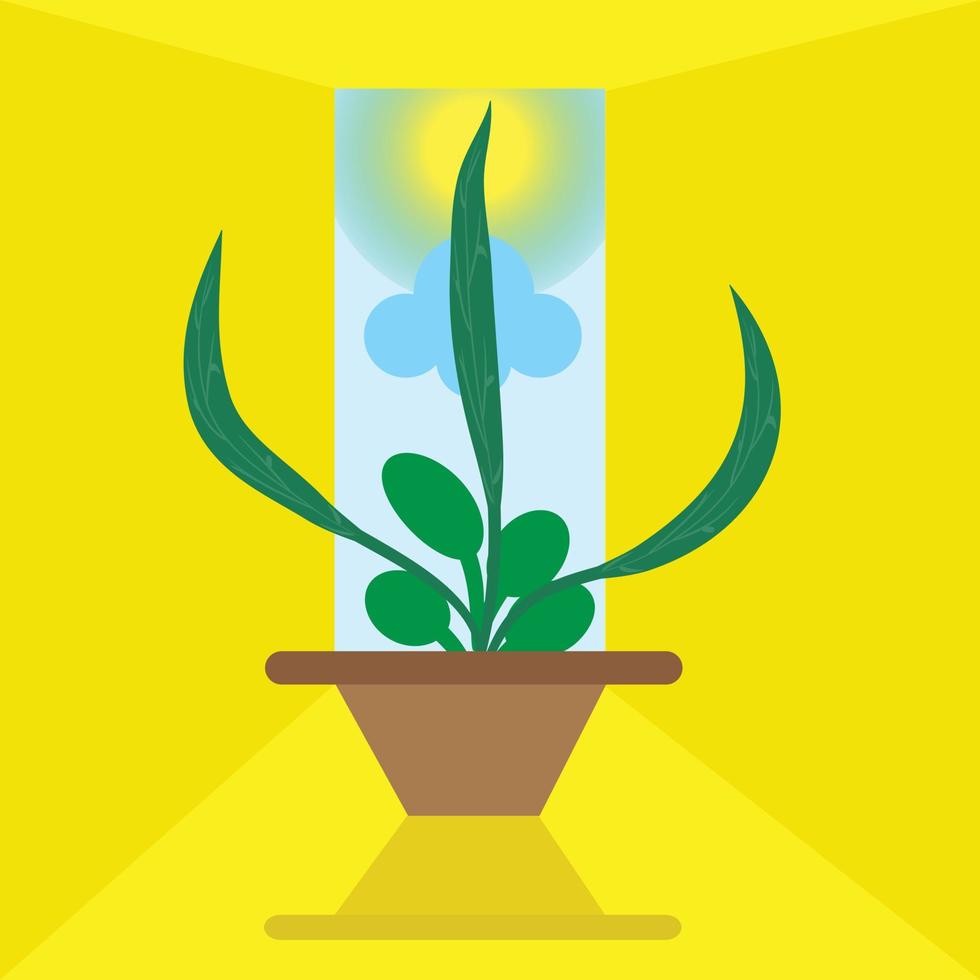 Isolated indoor plant and tree pot vector illustration, summer, autumn or spring background.