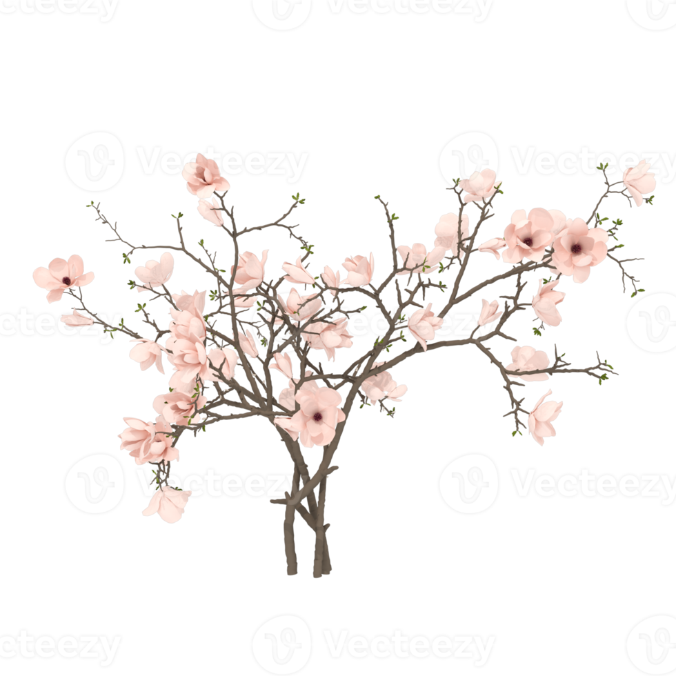 boom bloemen 3d geven png