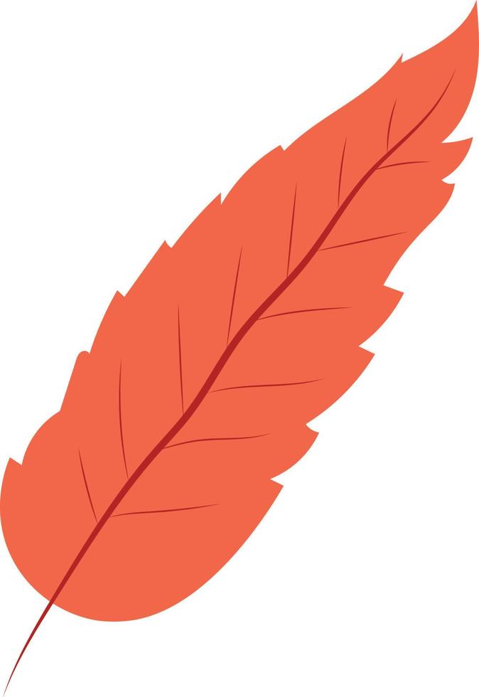 Autumn Leaves Illustration vector