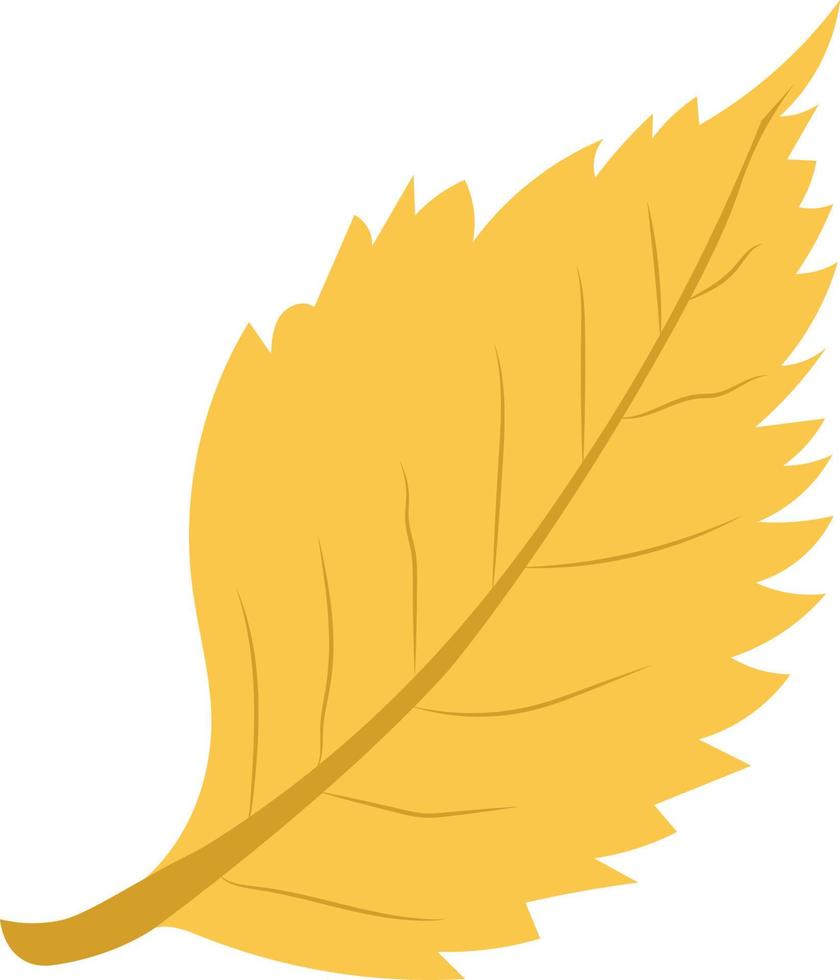 Autumn Leaves Illustration vector