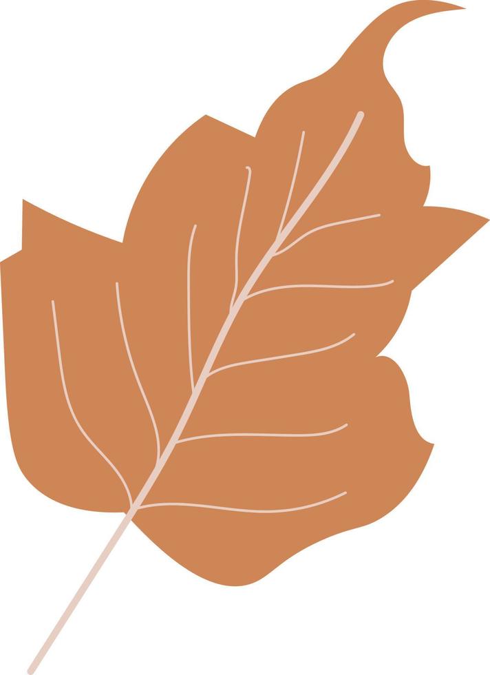 ilustración de hojas de otoño vector