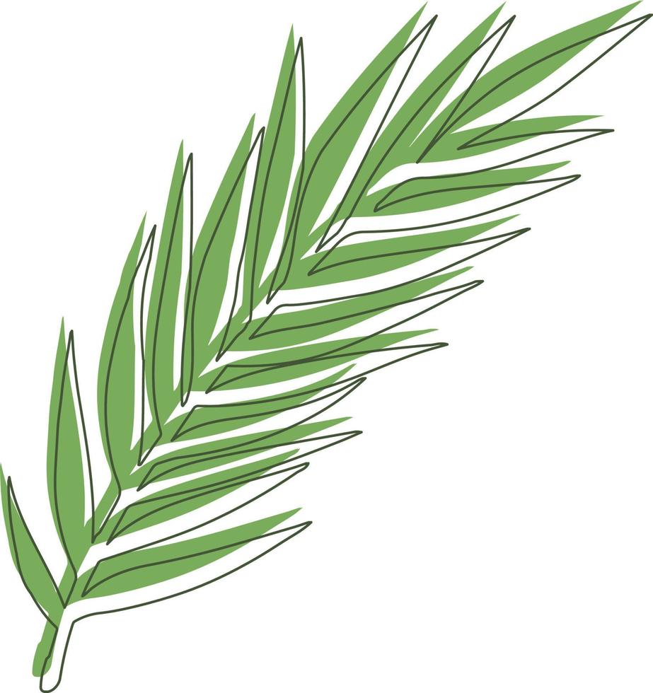 tropical hoja forma vector