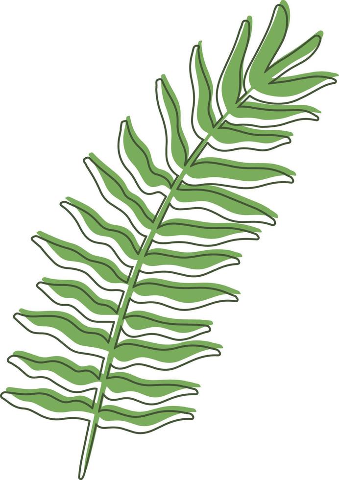 Tropical Leaf Shape vector