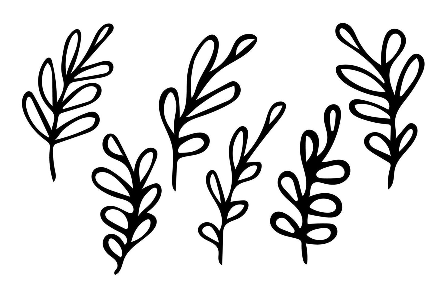 Set of hand drawn outline leaves, black botanical illustrations isolated on white background. Doodle drawing vector