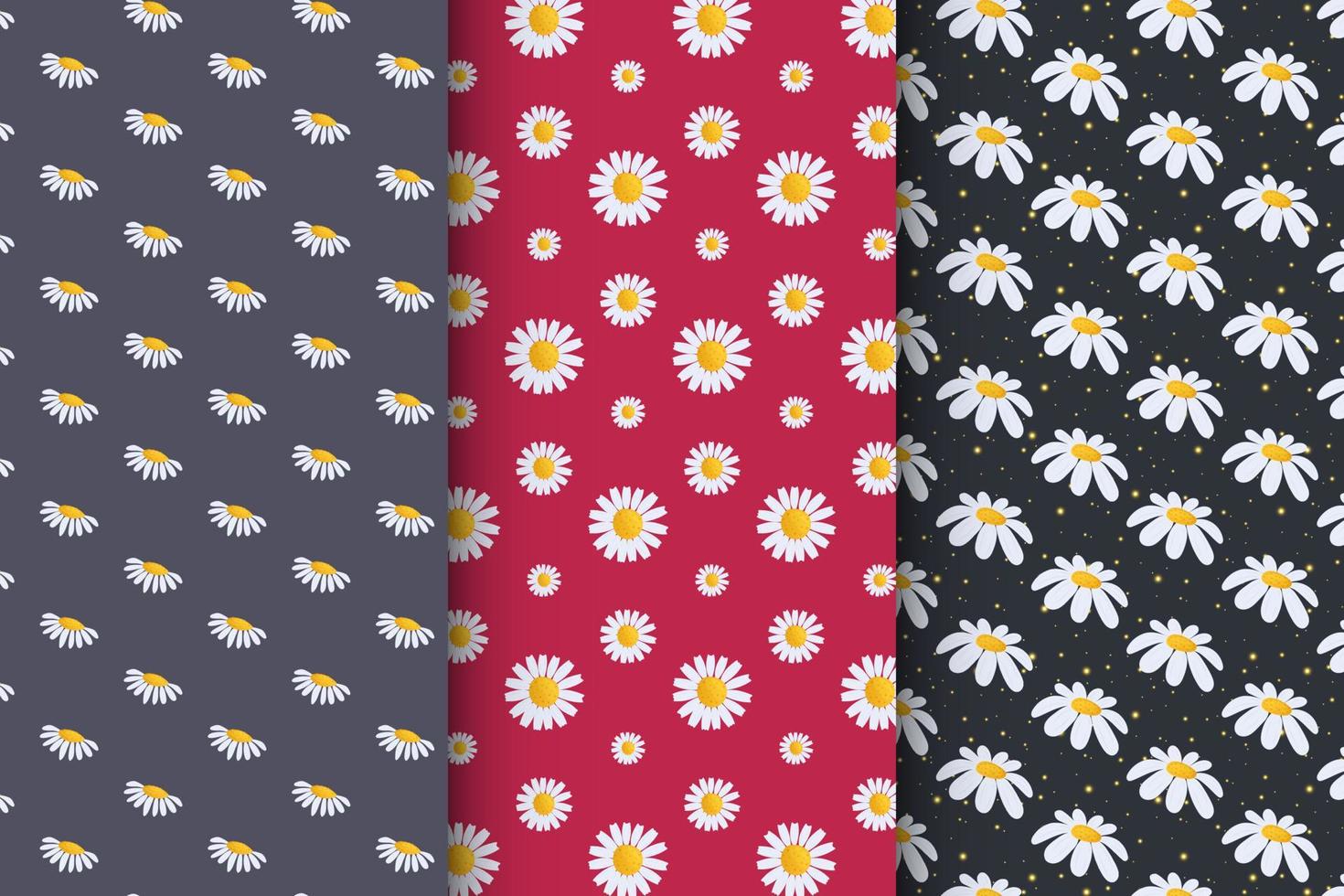 Collection of patterns with daisies, stylish set of patterns vector