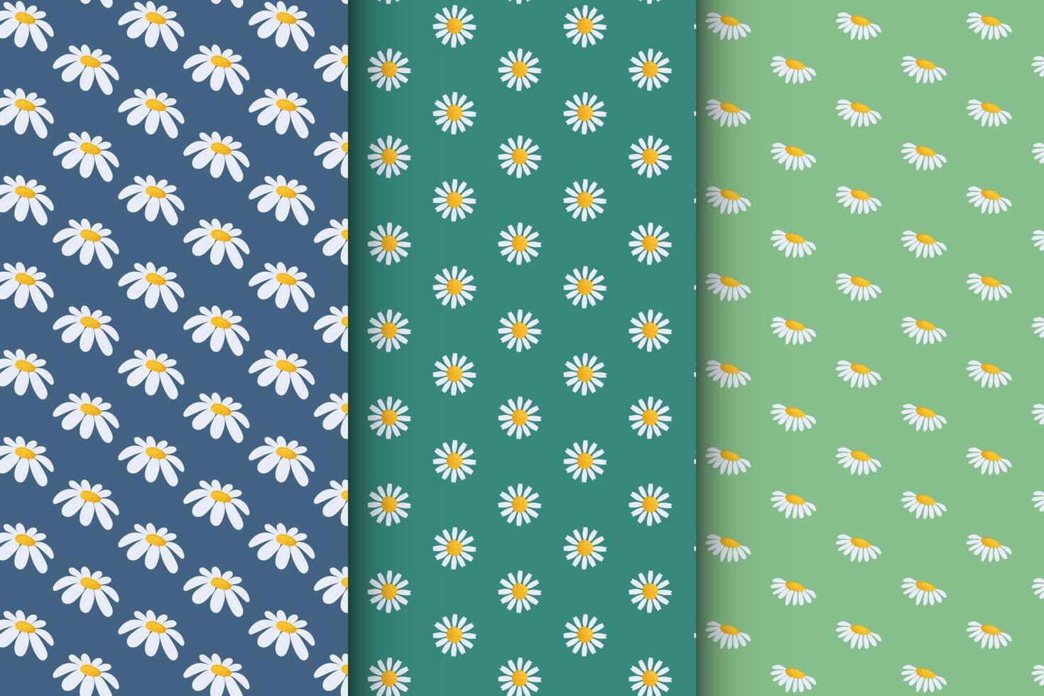 Collection of patterns with daisies, stylish set of patterns vector
