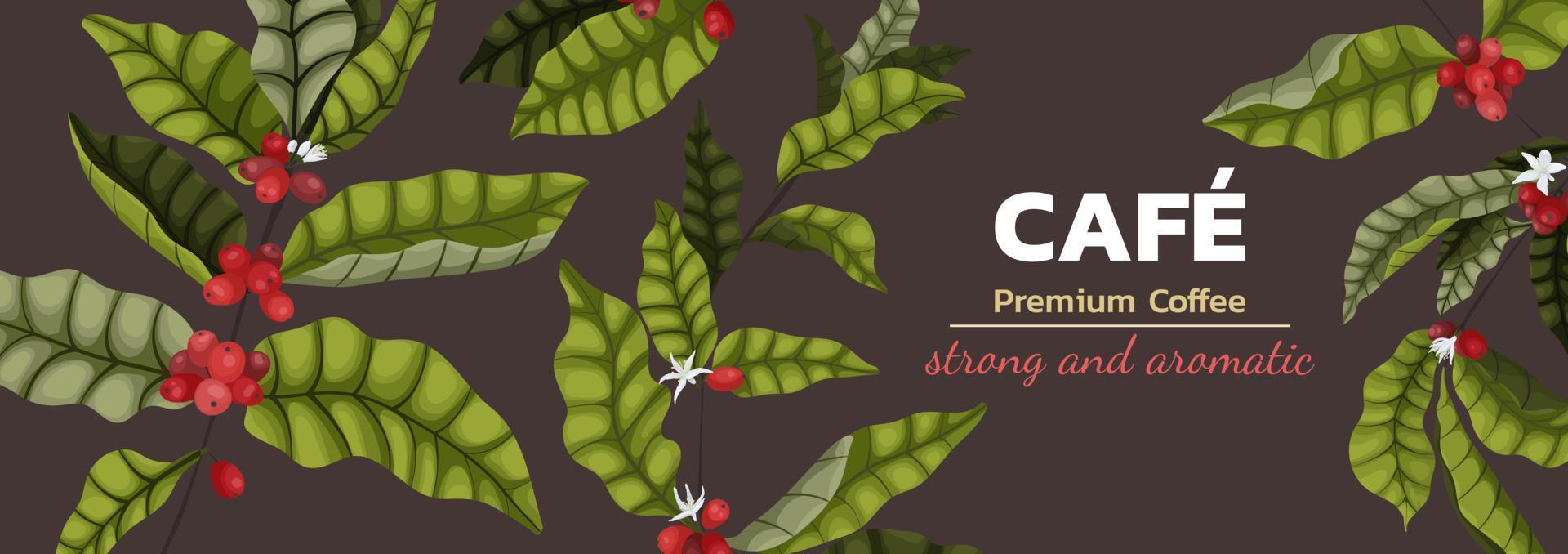 Vector illustration concept of advertising coffee with branches and coffee berries in cartoon style. A horizontal banner on a brown background about premium coffee.