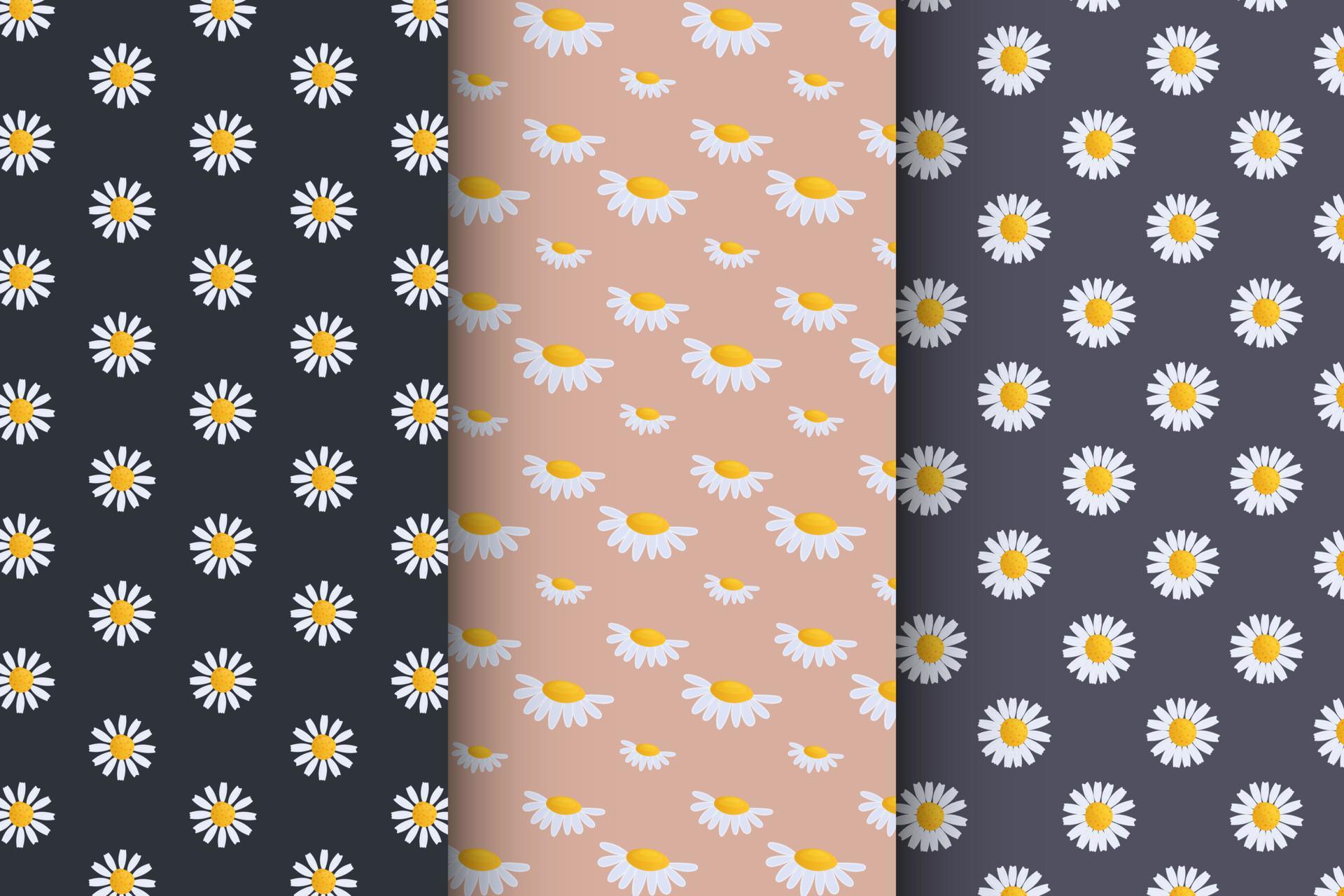 Chamomile pattern set, seamless vector pattern 21188598 Vector Art at ...