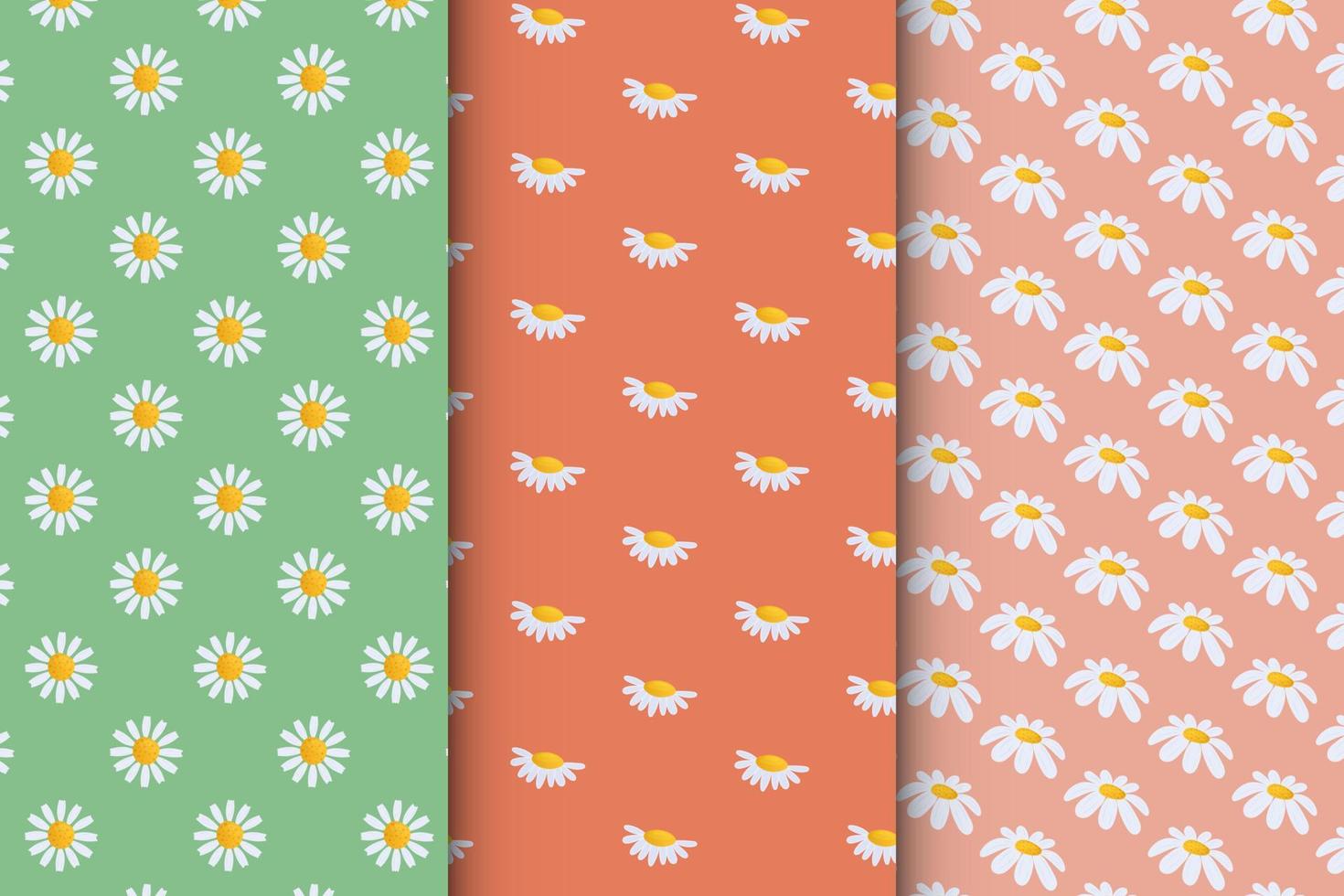 Seamless pattern with camomile illustration vector