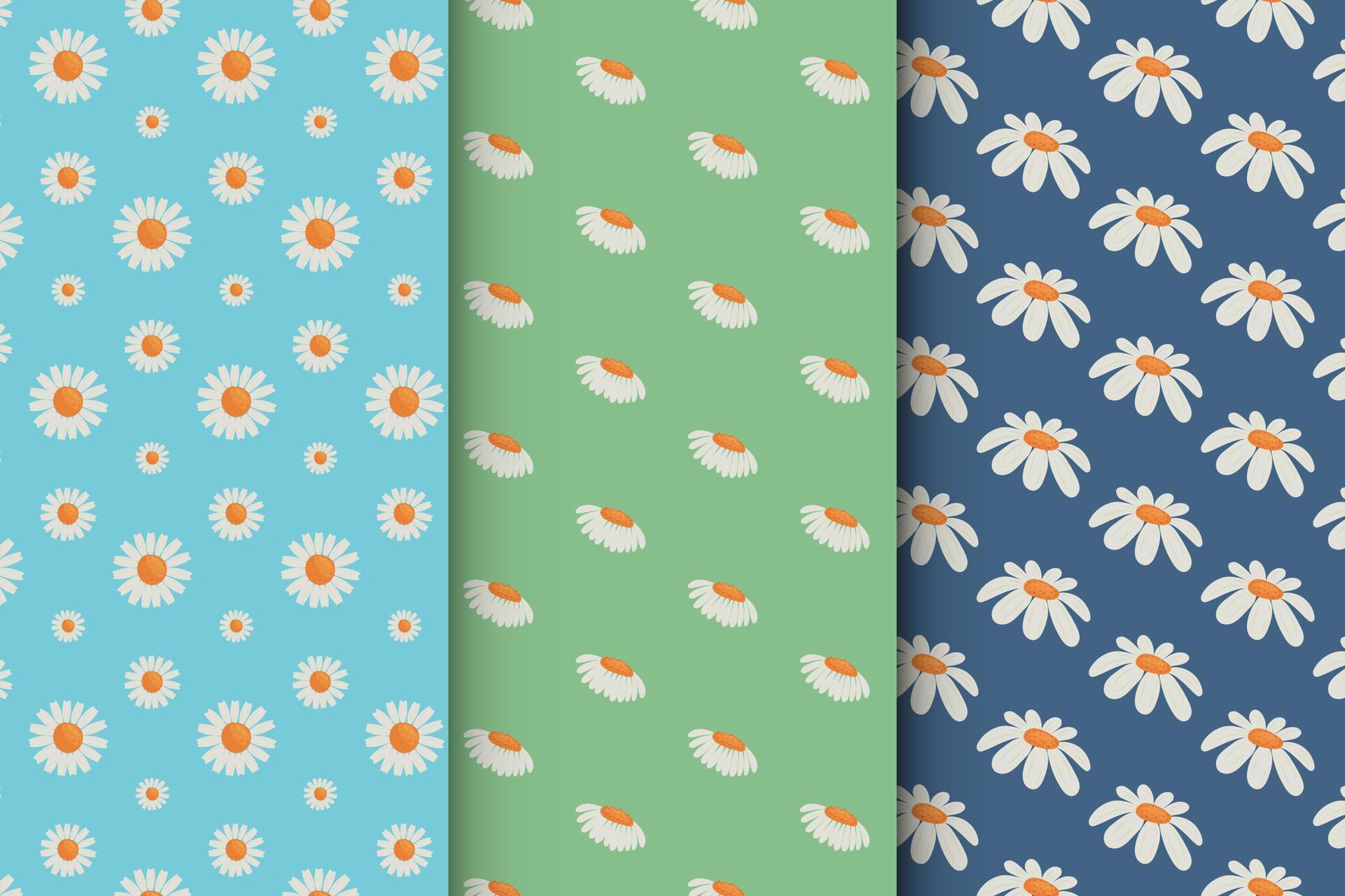 Chamomile pattern set, seamless vector pattern 21188675 Vector Art at ...