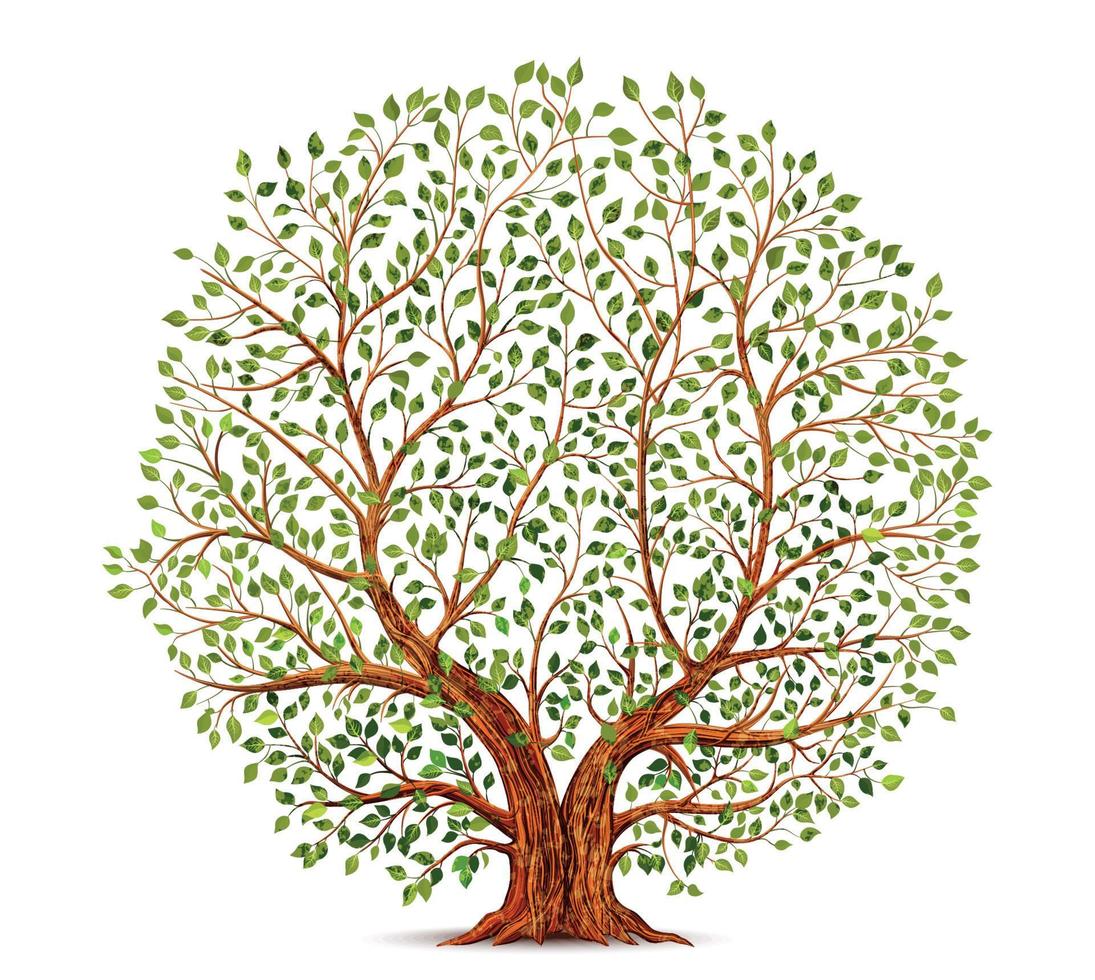 Old tree vector illustration