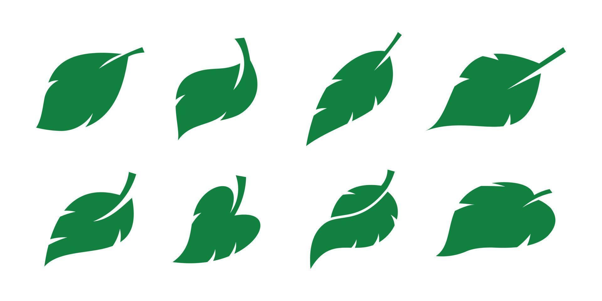 Green leaf icon set. Green color. Leaves on white background. vector