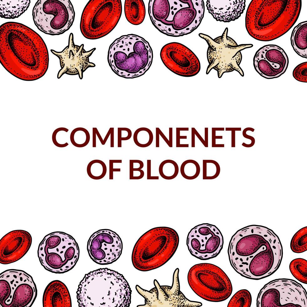 Blood cells background. Design for blood test, anemia, donation, hemophilia, laboratory scientific research concepts. Vector illustration in sketch style