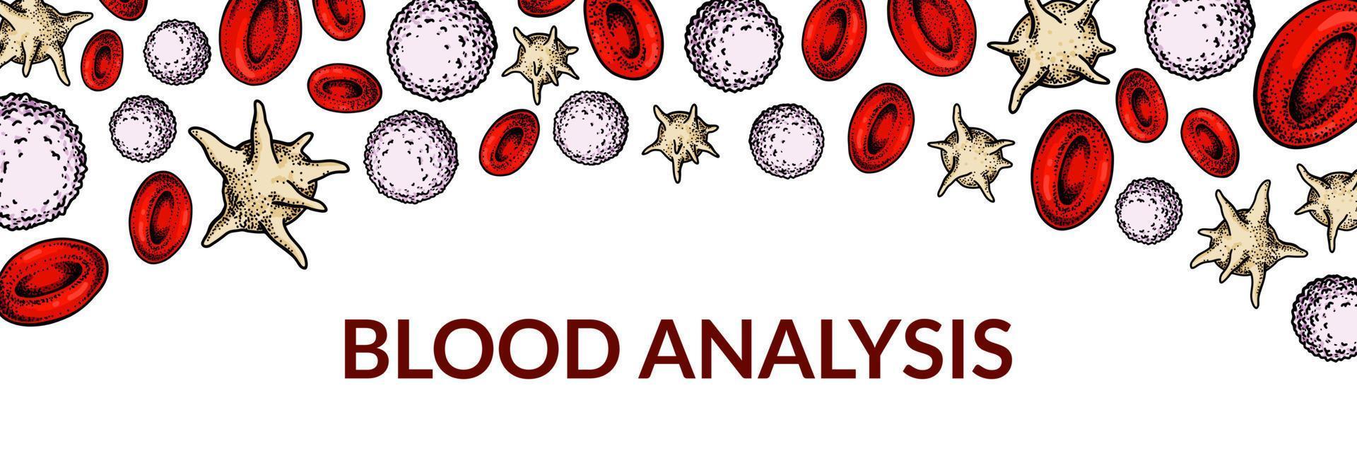 Blood cells background. Design for blood test, anemia, donation, hemophilia, laboratory scientific research concepts. Vector illustration in sketch style