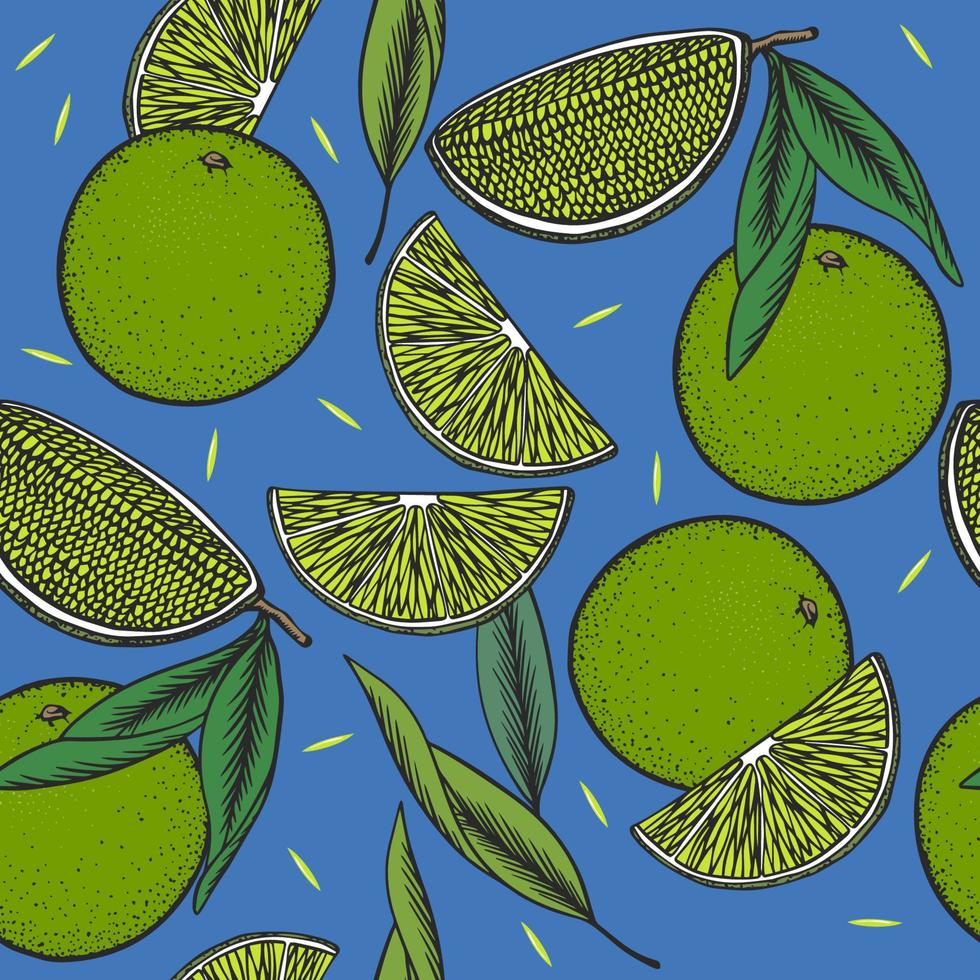 Seamless vintage pattern with lime slices on dark blue background vector