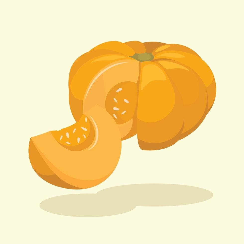 Whole Orange Pumpkin with Seed Vector Illustration