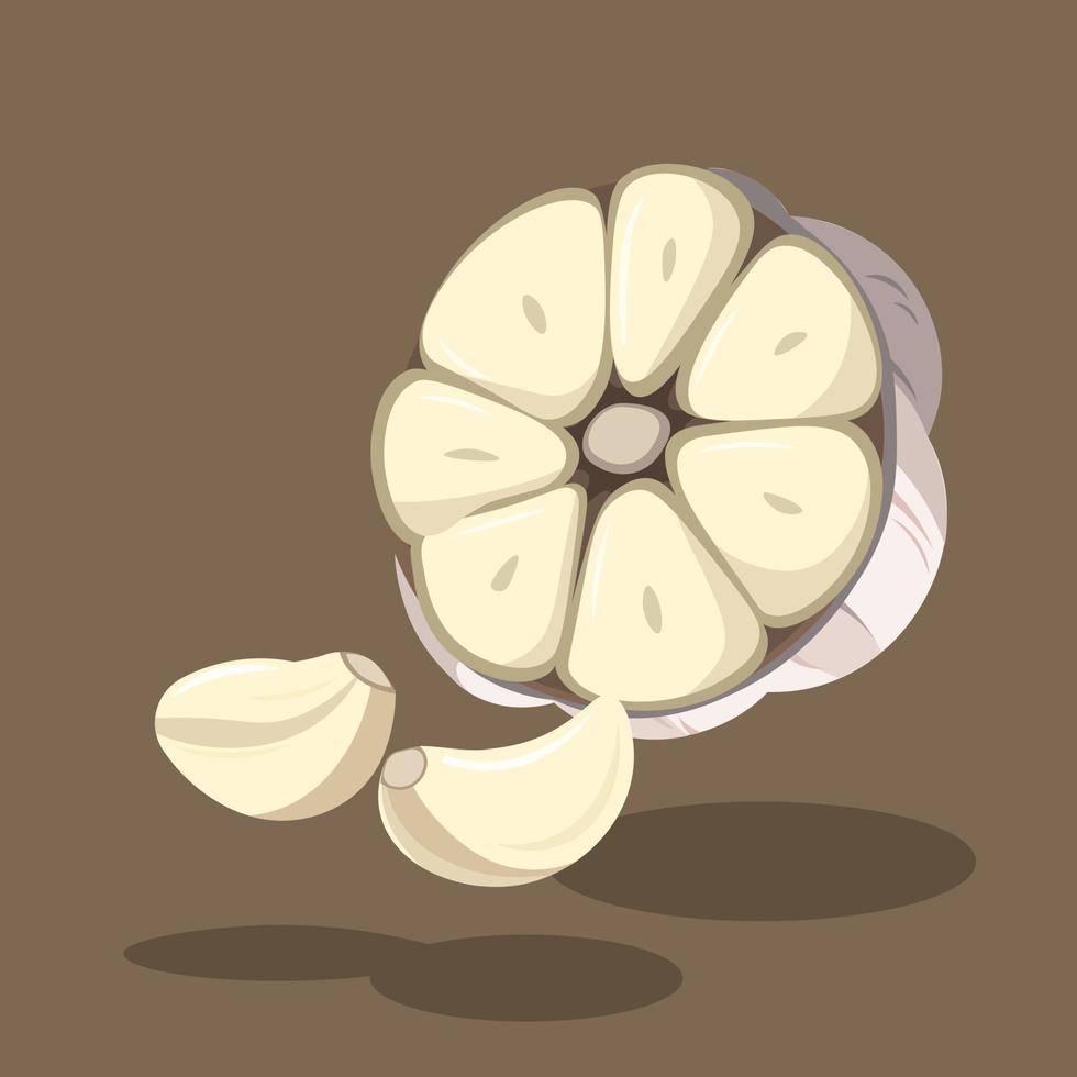 Half Sliced White Garlic and Peeled Skin Garlic Pieces Vector Illustration