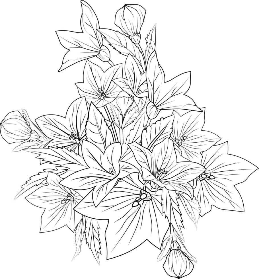 Cute flower coloring pages, Bellflower drawing, Creeping bellflower drawing, Hand drawn botanical spring elements bouquet of bellflower line art coloring page, easy flower drawing. bellflower art. vector