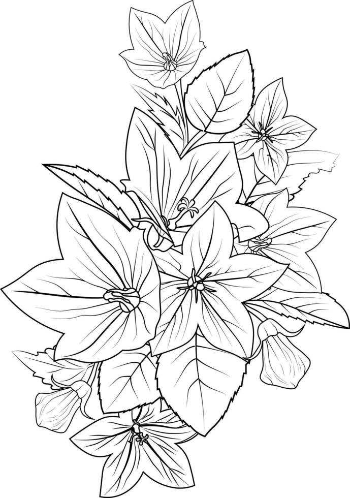 Bellflower coloring  book hand drawn botanical spring elements bouquet of bellflower line art, coloring page, vector sketch, artistic simplicity doodle art, Easy yellow bellflower drawing,