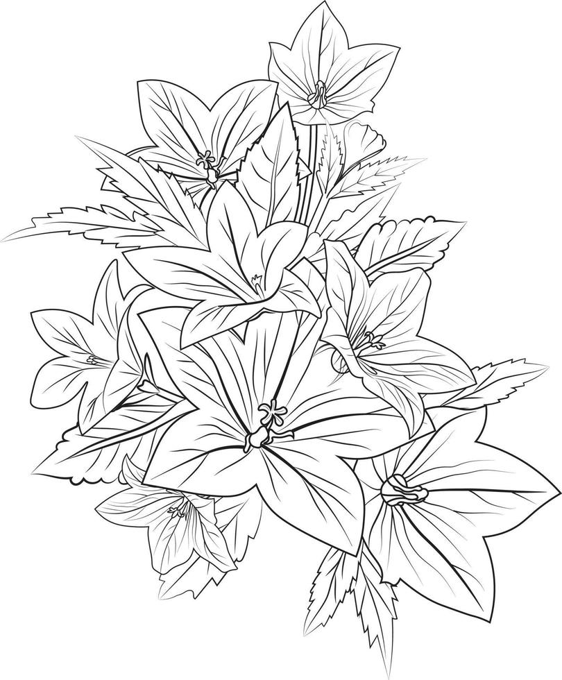 flor colorante página para adultos, bosquejo campana flor dibujo, campanilla vector arte, mano dibujado hermosa globo flor ramos de flores, ilustración tinta arte, mano pintado flores aislado blanco antecedentes.