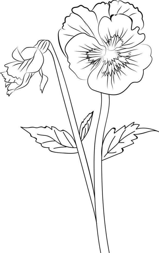 Cute flower coloring pages, pansy drawing, Neon Violet,  flower drawing, Hand drawn botanical spring elements bouquet of pansy flower line art coloring page, easy flower drawing. vector