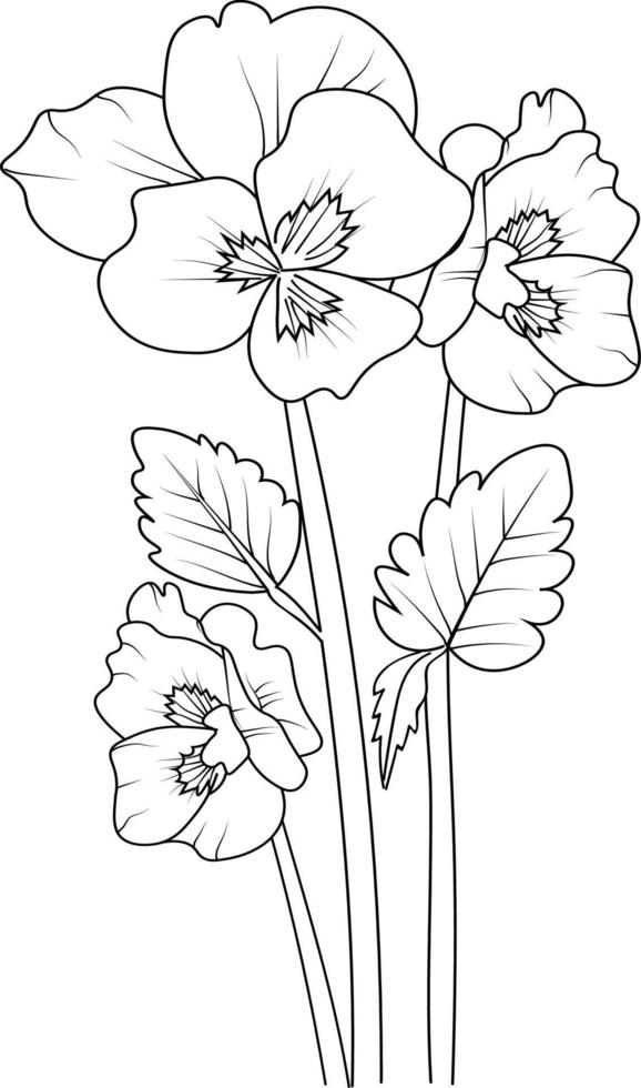 Cute flower coloring pages, pansy drawing, pale blue pansy drawing, Hand drawn botanical spring elements bouquet of violet line art coloring page, easy flower drawing. pansy flower art. vector
