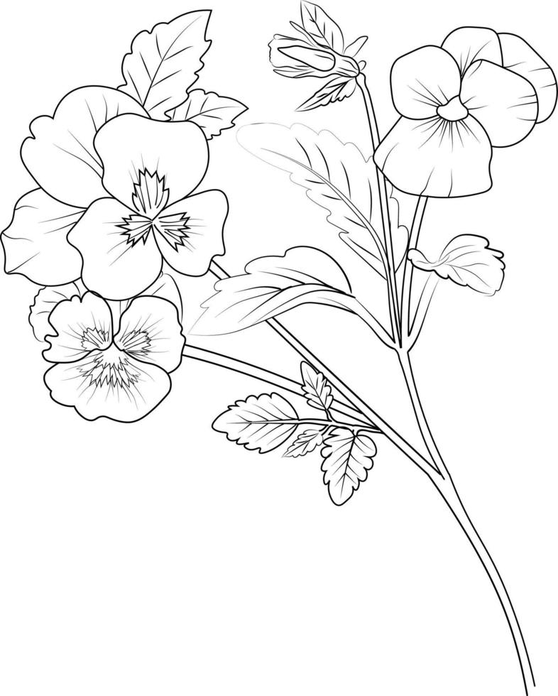 Flowers coloring pages, and book,Vector sketch of pansy flowers, Hand drawn pansy flowers, collection of botanical leaf bud illustration engraved ink art style. pansy flower sketch. vector