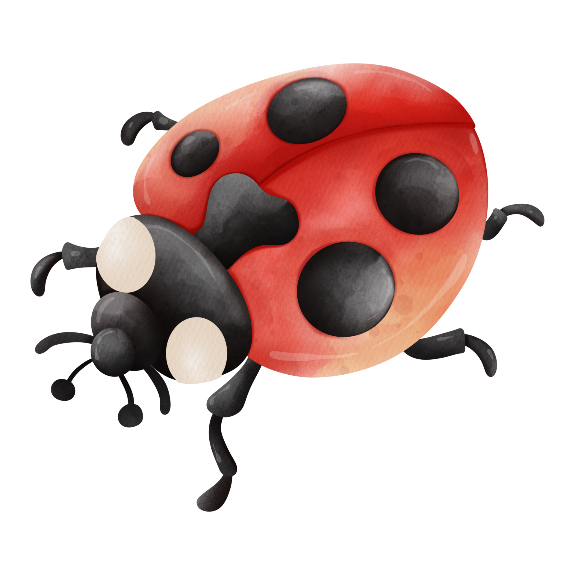 Cute Ladybug Insect Animal Animated PNG Illustration Stock Photo -  Illustration of animal, coloring: 258102836